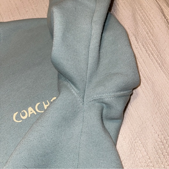 Coachella Crop Sweatshirt Size L (Missing Size Tag) - Picture 3 of 8